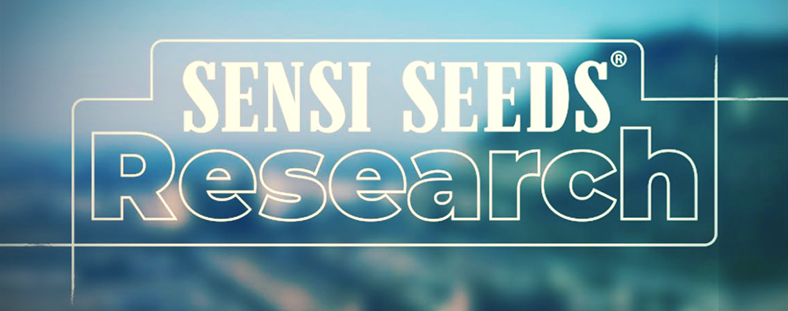 Sensi Seeds Research Sensi Seeds Research