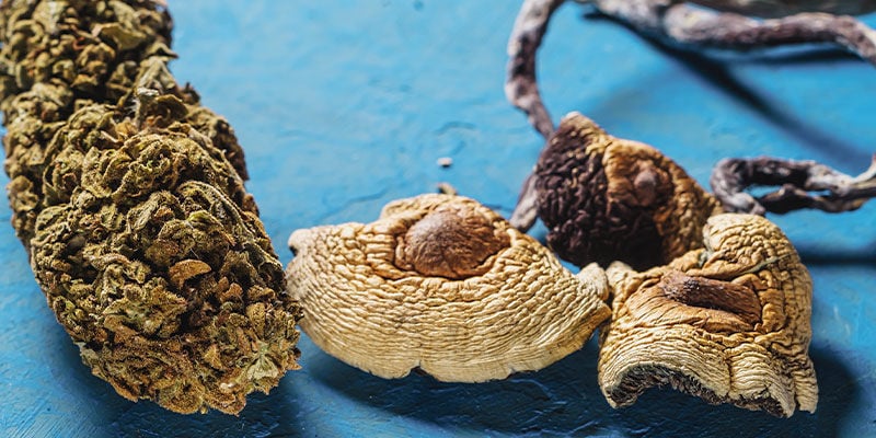 Is Het Combineren Van Wiet En Magic Mushrooms Een Goed Idee?