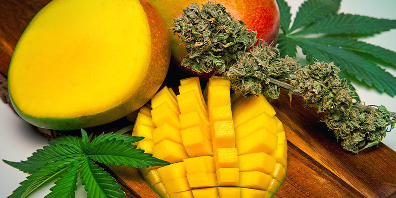 Pep Je Cannabis Op Met Een Portie Mango's
