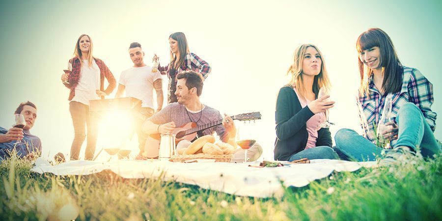 Picknicken In Het Park