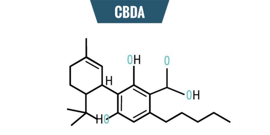 Chemie van CBDA