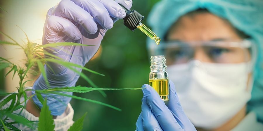 CBD Bindt Zich Aan Cannabinoïdereceptoren