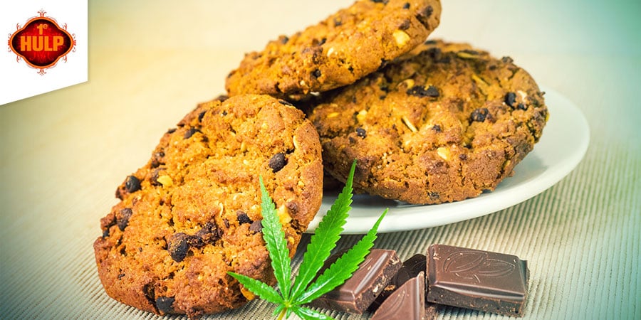 Coffeeshop 1e Hulp Amsterdam - Cannabis-Edibles