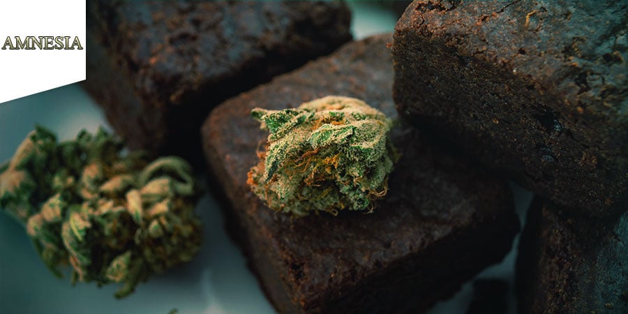 Coffeeshop Amnesia Amsterdam - Cannabis-Edibles