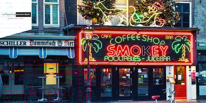 Coffeeshop Amsterdam - Cannabis-Edibles