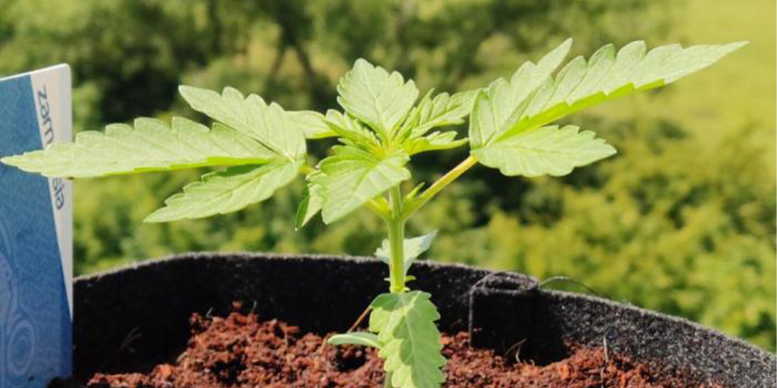 Regio’s waar winterkweek beter werkt