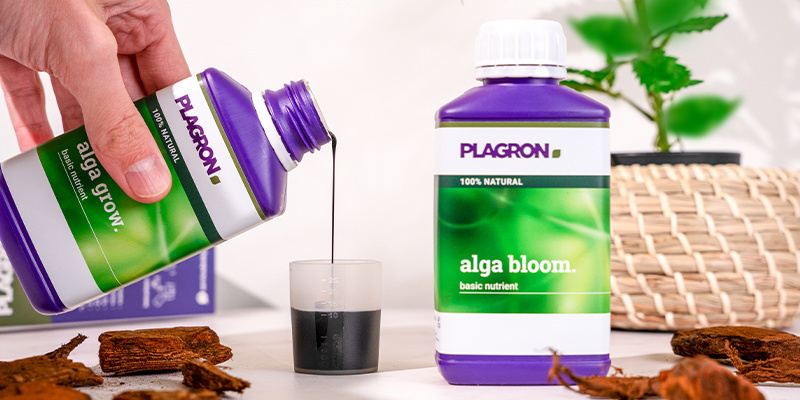 Wat is de Plagron Top Grow Box en waarom je hem moet gebruiken?