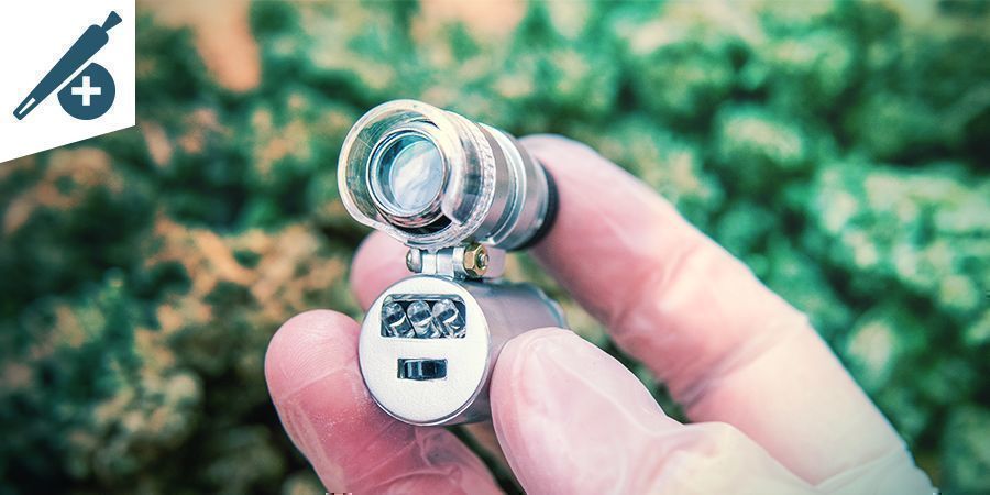 VOORDELEN VAN EEN MICROSCOOP VOOR CANNABIS ROKERS