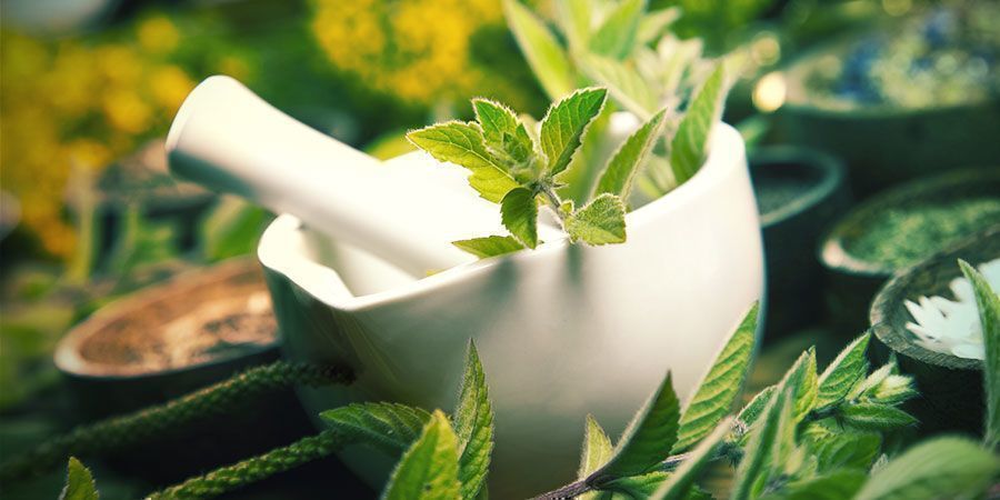 Gefermenteerd Plantensap Cannabis Voedingsstoffen