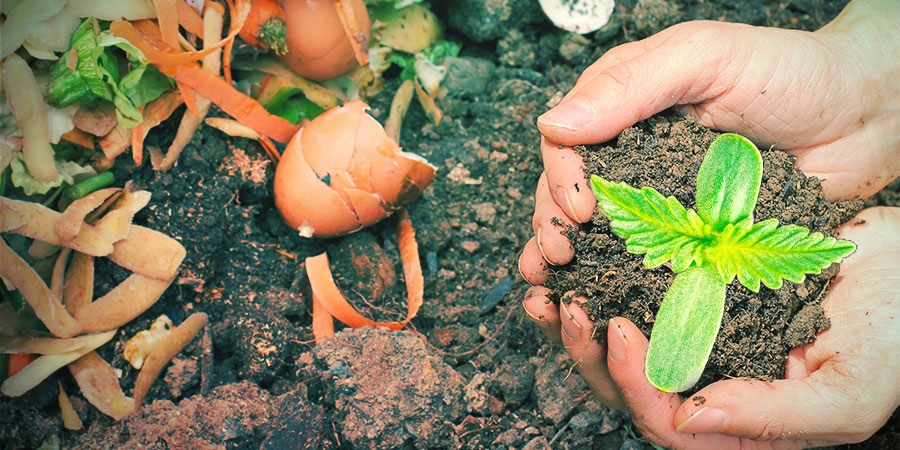 DE BESTE ZELFGEMAAKTE MESTSTOFFEN VOOR WIET