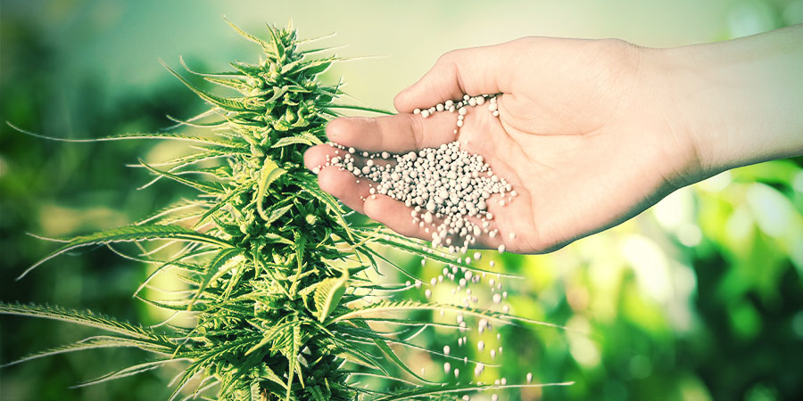 WAT ZIJN MESTSTOFFEN EN WAAROM ZIJN ZE BELANGRIJK VOOR WIET?