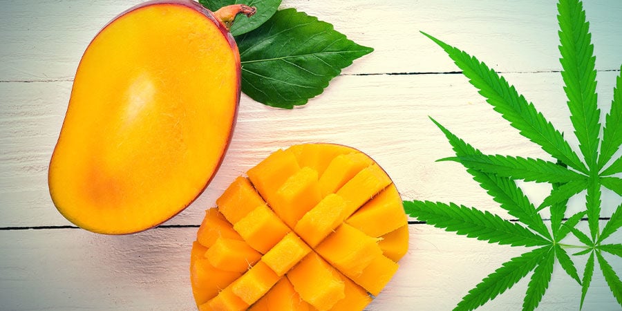 MANGO HAZE: SMAAK EN EFFECTEN