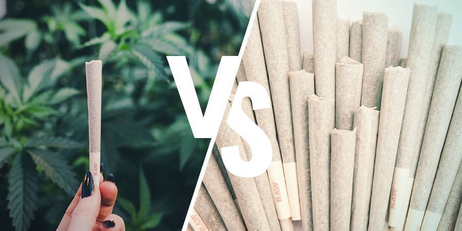 Cannabis Afhankelijkheid Versus Misbruik