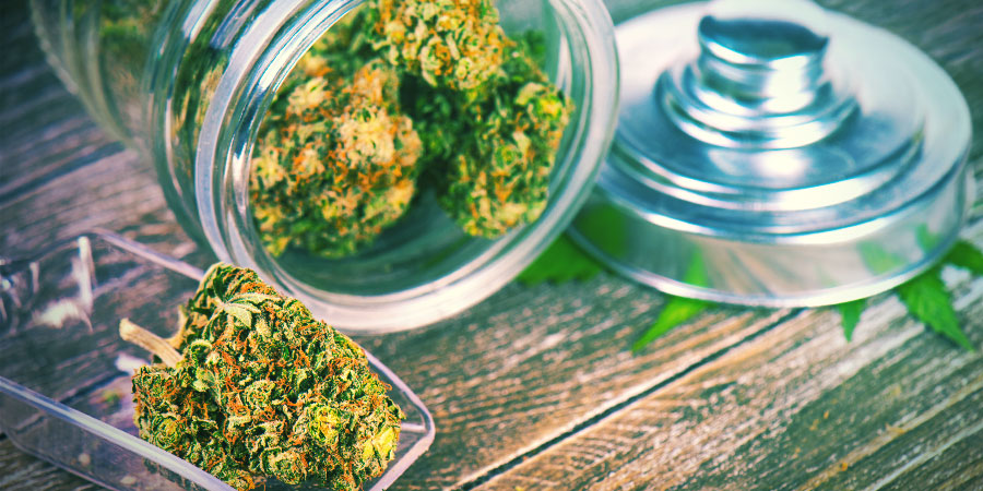Moet Je Je Endocannabinoïde Systeem Voeden Met Cannabis?