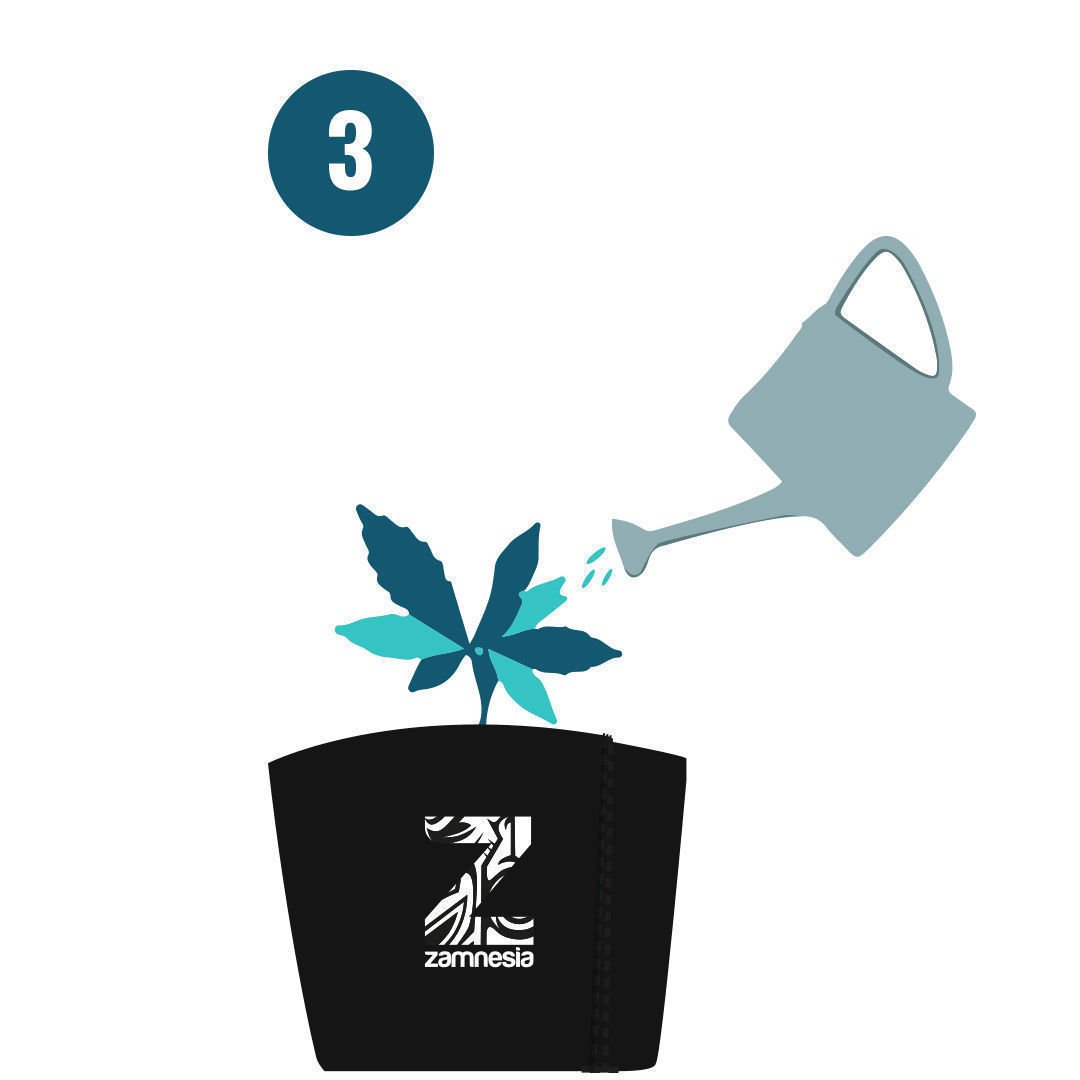 Stap 3 Monster Bud Boost Pack 