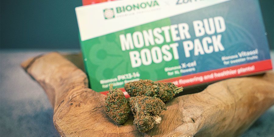 Wat is Monster Bud Boost Pack