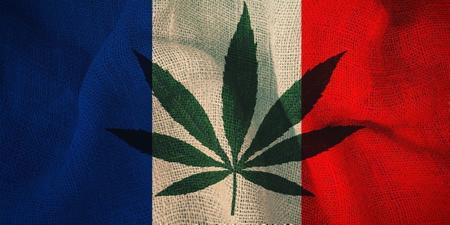 Frankrijk en cannabis: Het plan van het comité