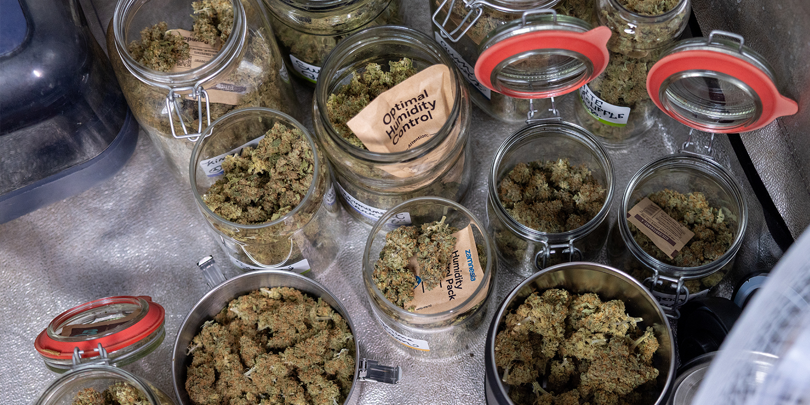 Slim kweken, groot oogsten Slim kweken, groot oogsten