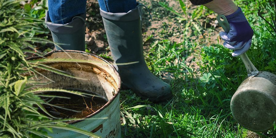 Hoe Gebruik Je Zelfgemaakte Compost Voor Het Kweken Van Cannabis?