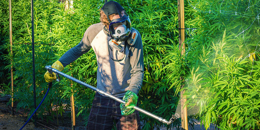 Soorten verontreinigingen in cannabis: Industriële pesticiden en meststoffen