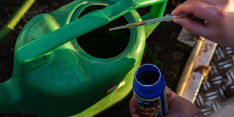 Verzorging van je chilipeperplant: water geven, voeding en algemene care