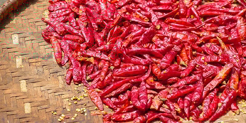 Wat je doet na de oogst