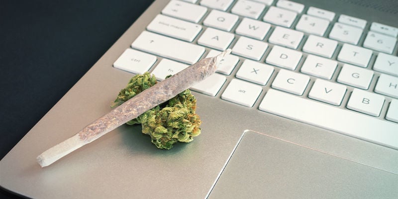 Bezoek online fora en community's voor kwekers en stoners