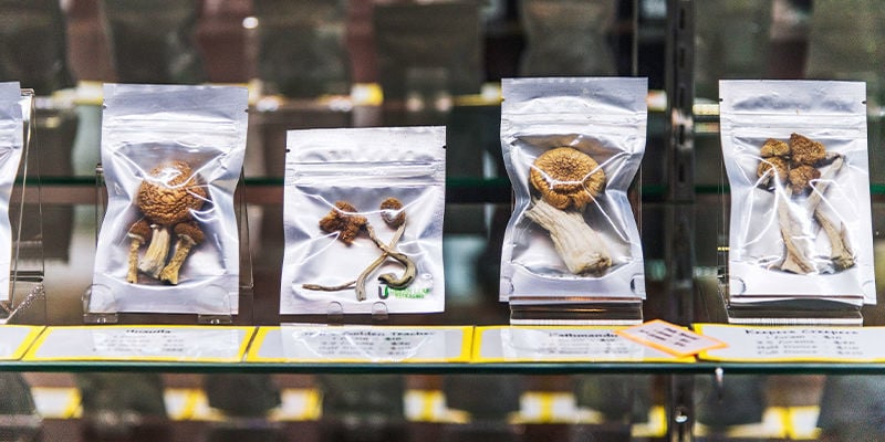 Kosten en beschikbaarheid van verse en gedroogde paddo's