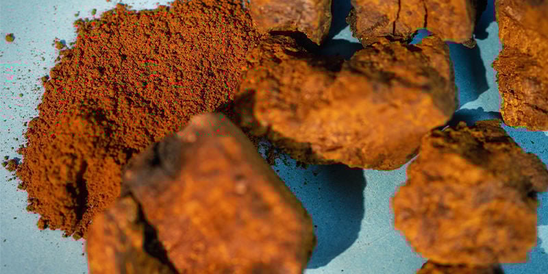 De Hele Chaga Zwam — Vers Of Gedroogd