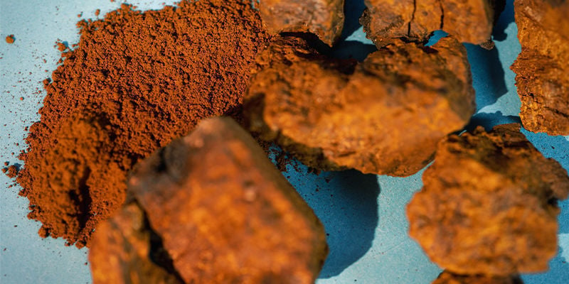 De Hele Chaga Zwam — Vers Of Gedroogd