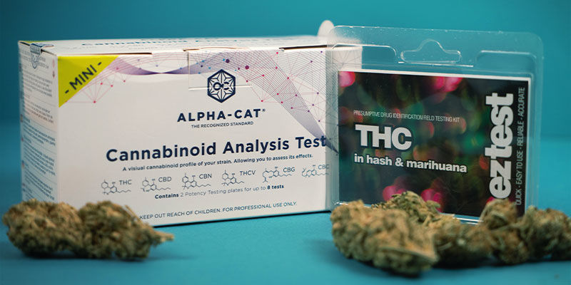 Hoe test je THC- en CBD-niveaus in cannabisproducten?