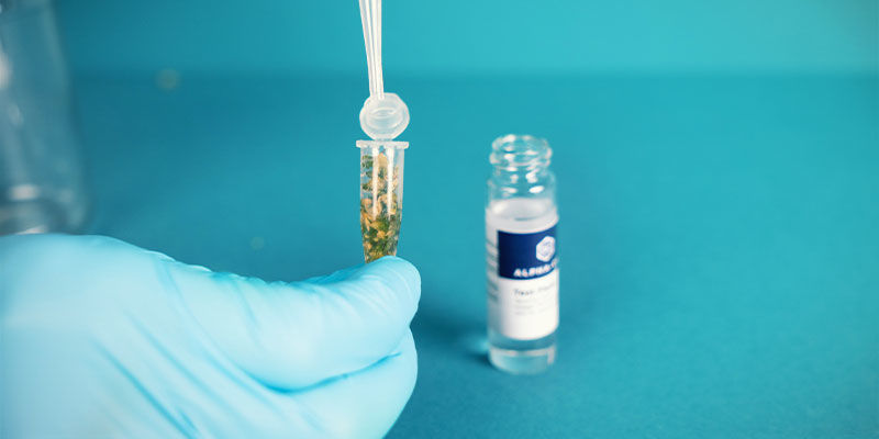 Alpha-Cat Mini Testkit: De cannabinoïden in de vloeistof extraheren