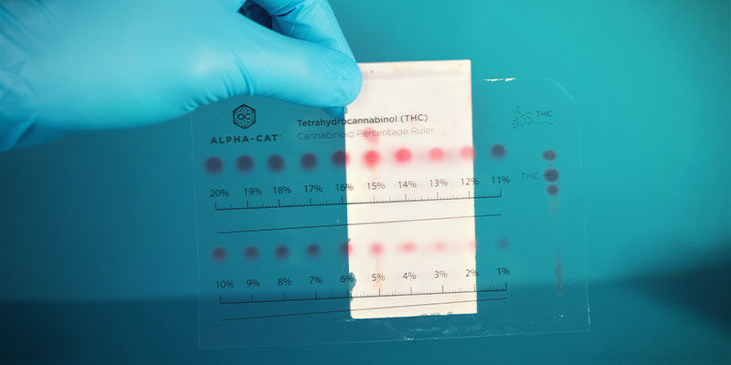 Welke Cannabinoïden Detecteert De Alpha-Cat Mini Cannabinoïde Testkit?