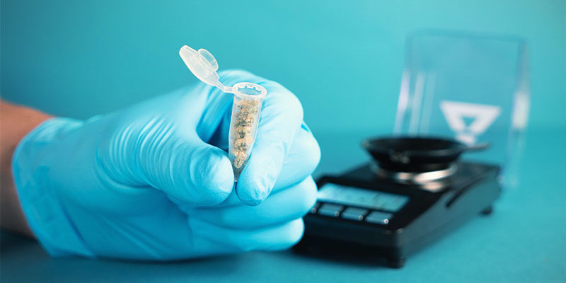 Waarom zou je het gehalte THC en CBD in cannabisproducten testen?