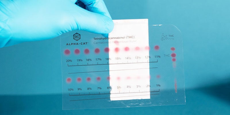 Welke Cannabinoïden Kan De Alpha-cat Cannabinoid Test Mini Kit Detecteren?