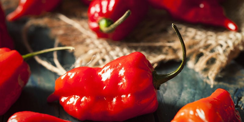 Begin Vandaag Nog Met Het Kweken Van De Ghost Pepper