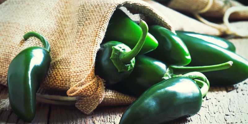 Jalapeños Kweken: Stap-Voor-Stap