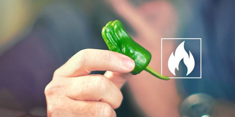 Hoe Heet Zijn Jalapeños?