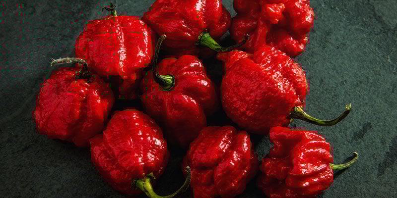 Heetste Pepers: 7 Pot Primo