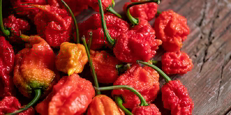 7 Pot Barrackpore: 1,3M SHU