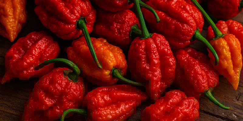 7 Pot Jonah: 1,2M SHU