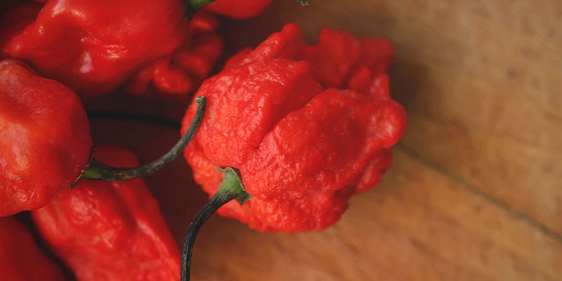 Ben Je Klaar Voor De Carolina Reaper?