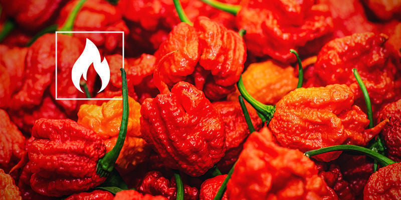 Hoe Pittig Is De Carolina Reaper?