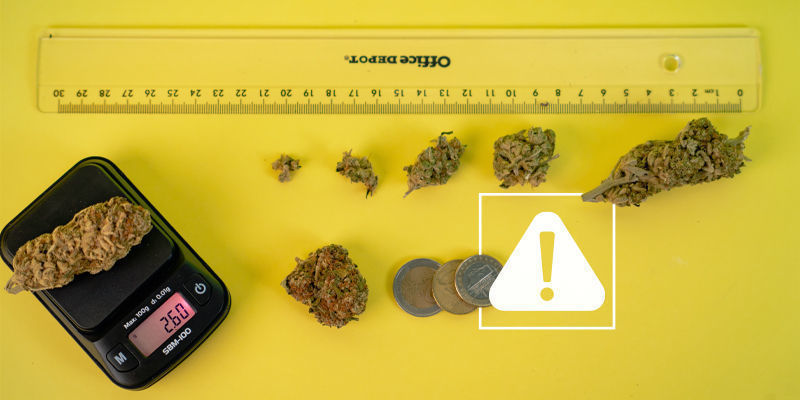 The Risks Of Using DIY Scales To Measure Weed