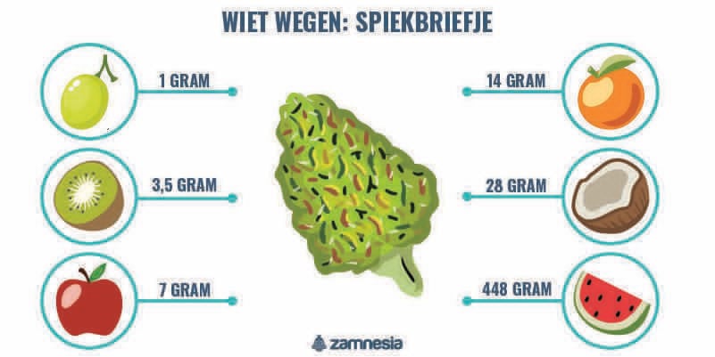 Wiet Wegen: Spiekbriefje