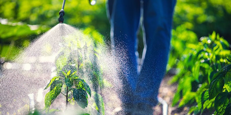 Zijn Natuurlijke Pesticiden Beter Dan Synthetische?
