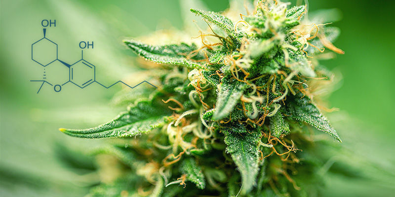 Wat is hexahydrocannabinol (HHC)?