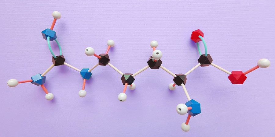 Hoe werkt L-arginine in het lichaam?