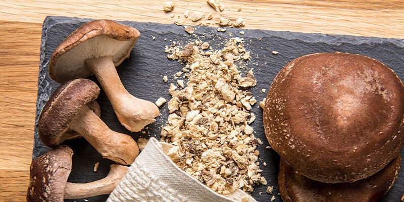 Hoe Maak Je Magische Warme Chocolademelk Met Paddenstoelen: Instructies