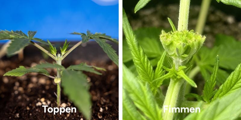 Grip krijgen op toppen en fimmen